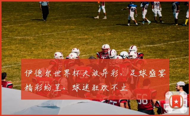 伊德尔世界杯大放异彩，足球盛宴精彩纷呈，球迷狂欢不止