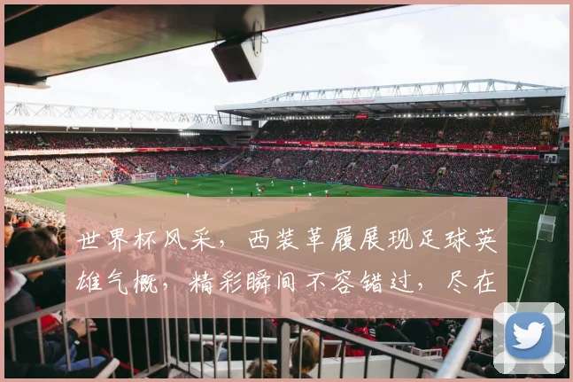 世界杯风采，西装革履展现足球英雄气概，精彩瞬间不容错过，尽在赛场一幕。
